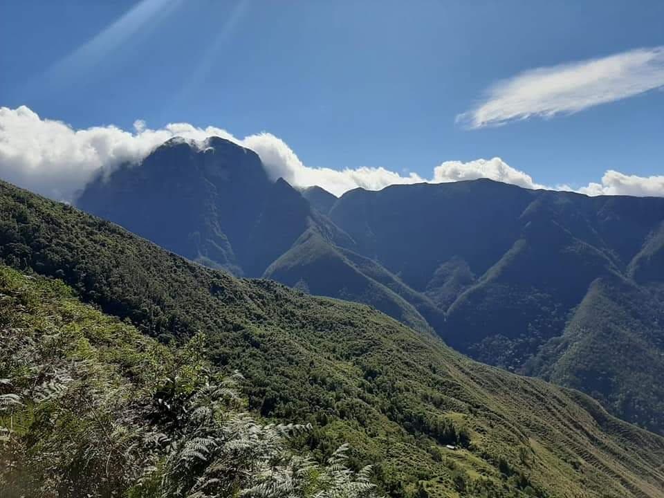 Serranía del Perijá — tåkeskog og skogkledde skråninger på Cesars østside