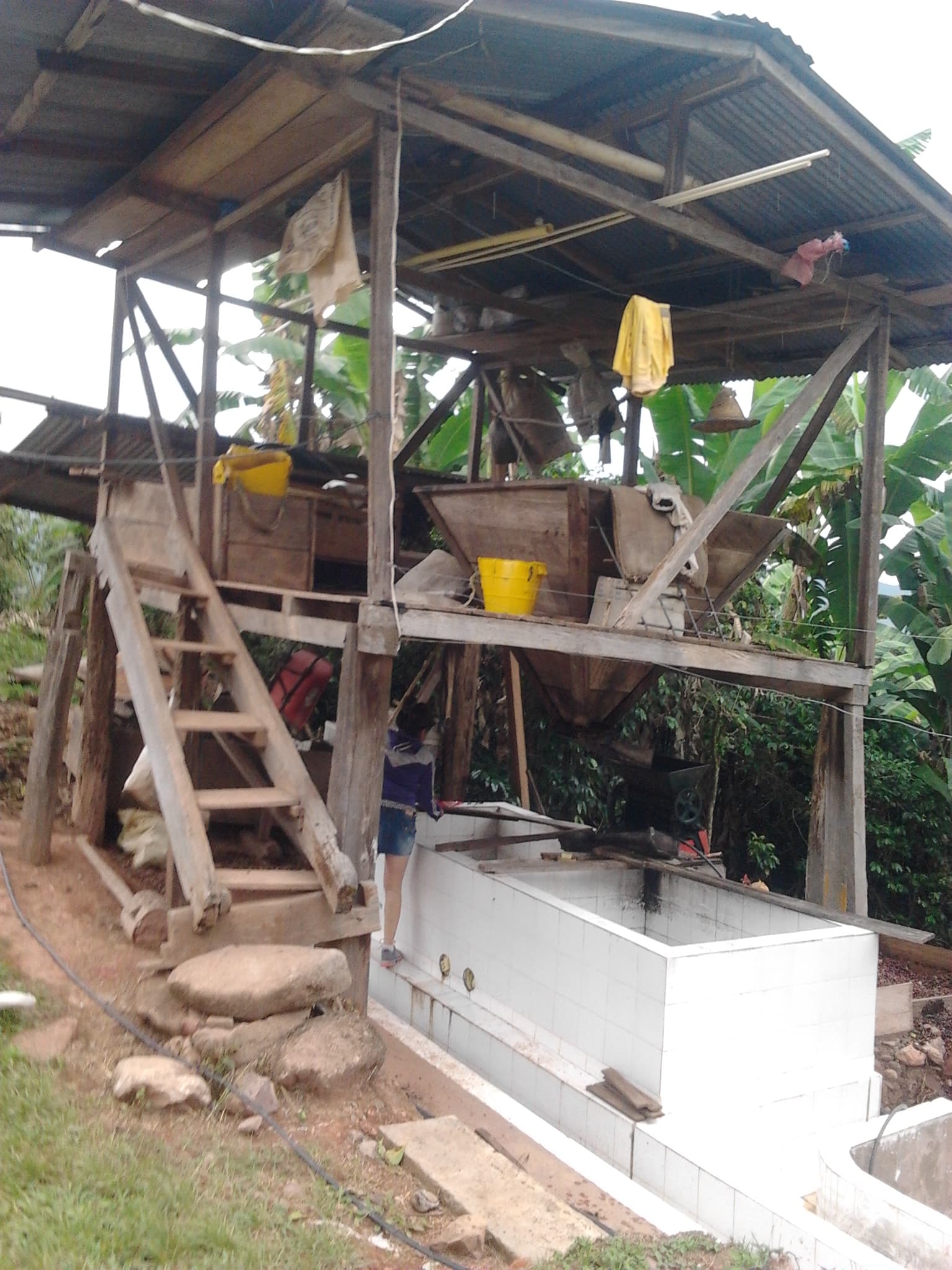 Lavado del café en canales